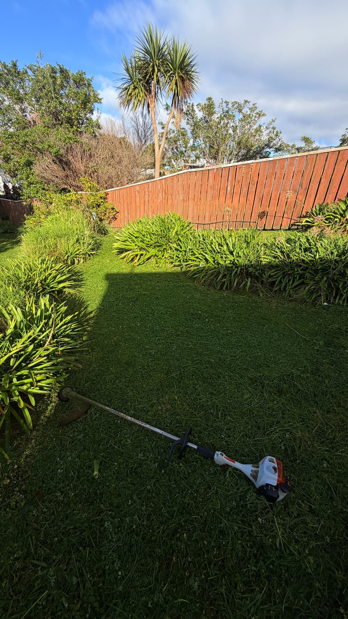 Trimmed garden edges and agapanthus beside a fence, line trimmer resting on the lawn