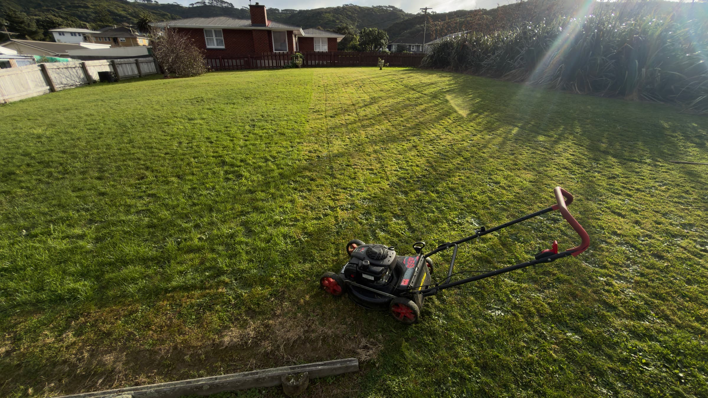 A freshly striped lawn at golden hour on a Porirua property, mower in the foreground