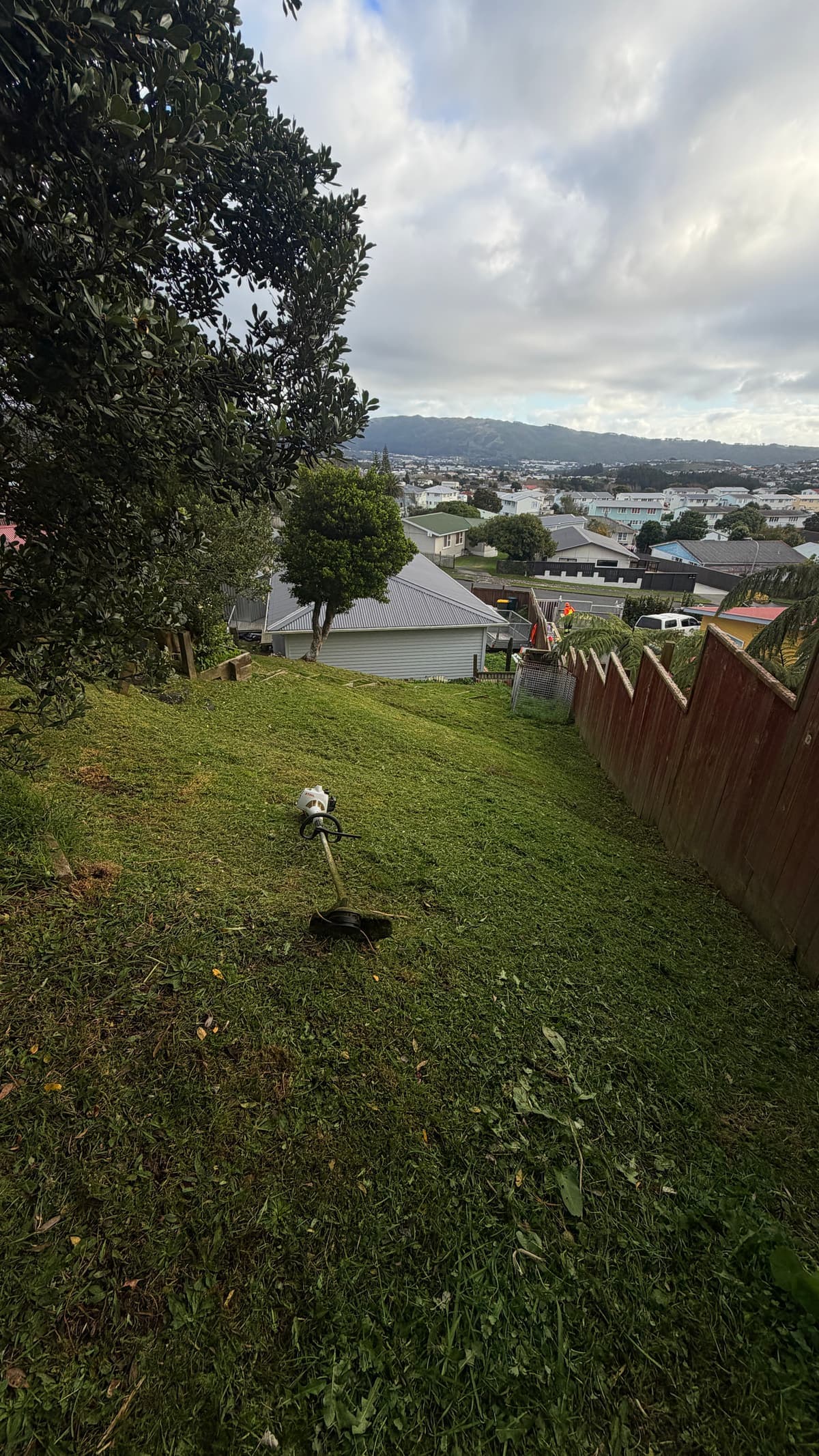 A steep section cut back and cleared, looking out over Porirua